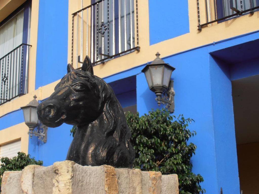 Hotel Caballo Negro Puerto Real Exterior photo
